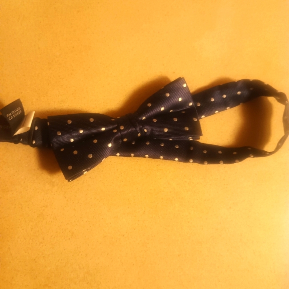 Blue bowtie with white dots